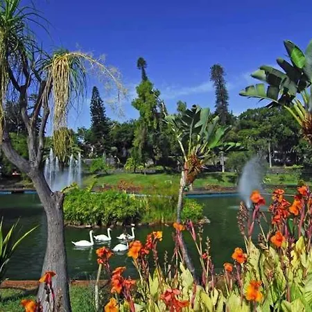 Vista Mar - Modern Sea Views In De Baixo アパート